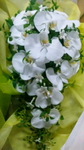 SH3J008200010001.jpg